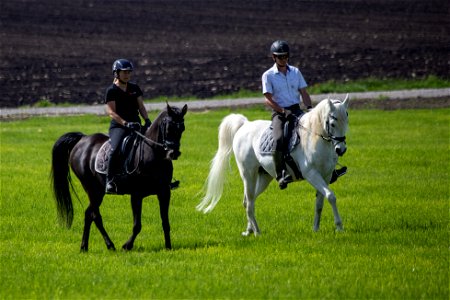 4-Napirai-Dschesim_OS223234