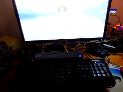 DSCF8385