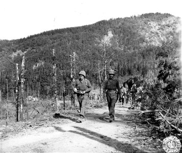 SC 337395 - Infantrymen marching over an area in the Gothic Line smashed by our artillery. 19 September, 1944.