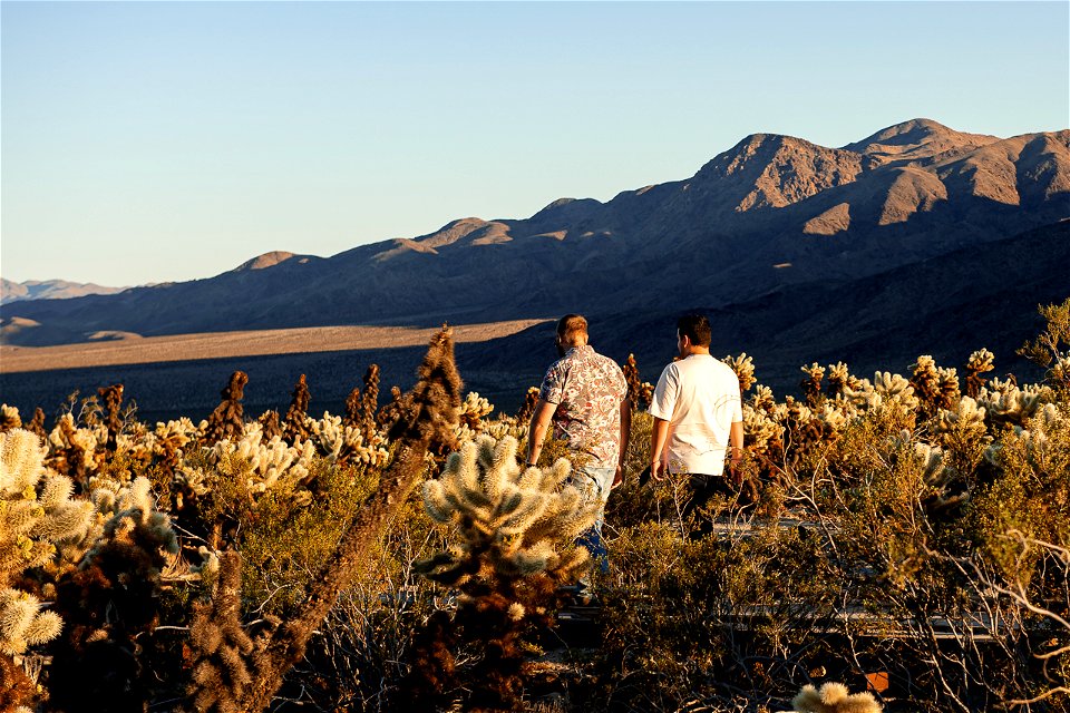 Visitors walking in Cholla Cactus Garden