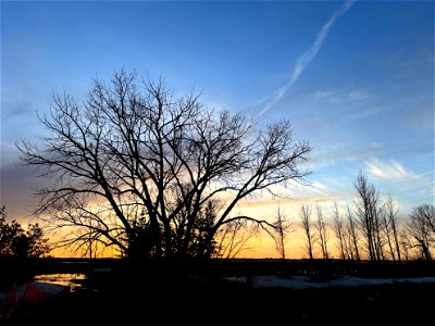 Over the Big Poplar