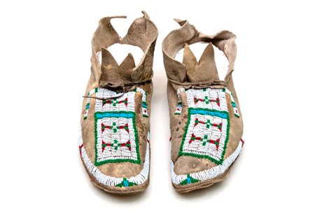 YELL 7235: moccasin photo