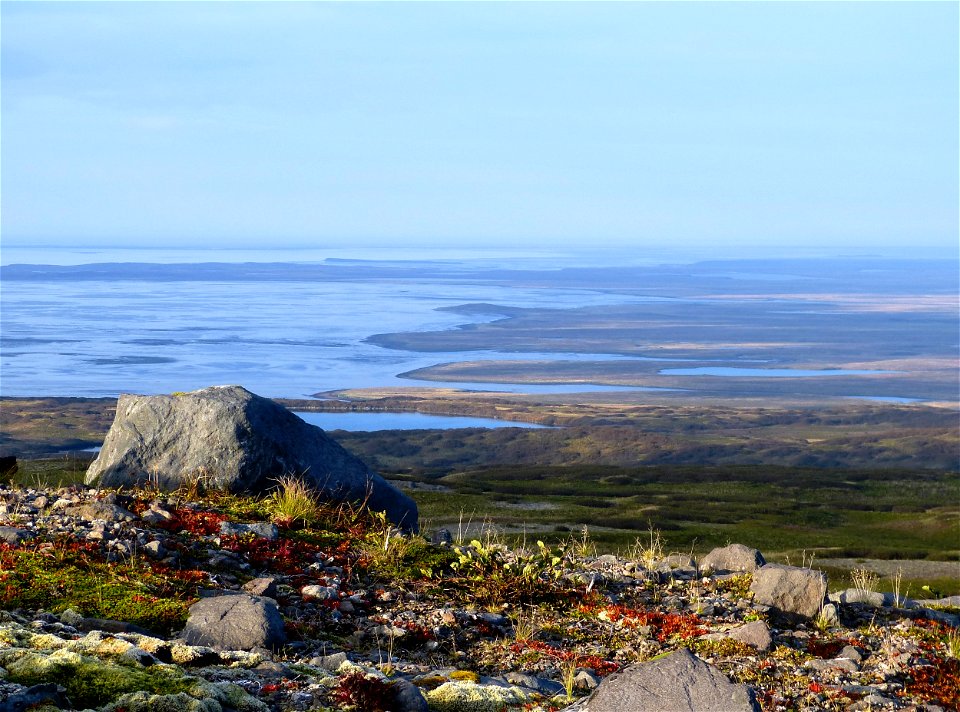 Fall colors in Izembek wilderness