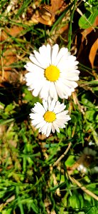 IMG_20210402_133649