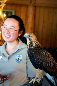 Refuge Educator with a Juvenile Swainson's Hawk
