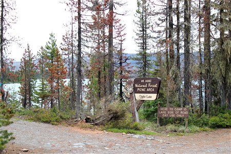 Olallie Lake on Mt. Hood National Forest photo