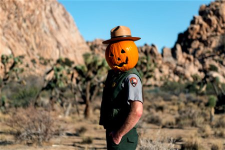 Ranger Jack O'Lantern photo