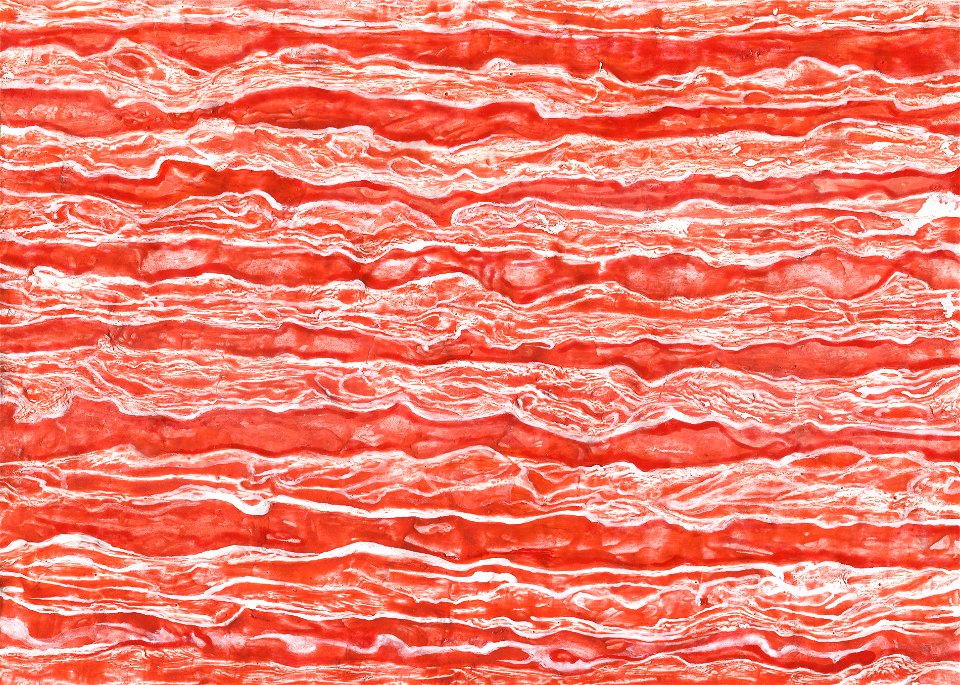 Glacis acryliques au couteau de la rivière amère (série)