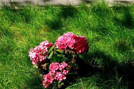 Sfanta-Vineri_cemtery- (11)