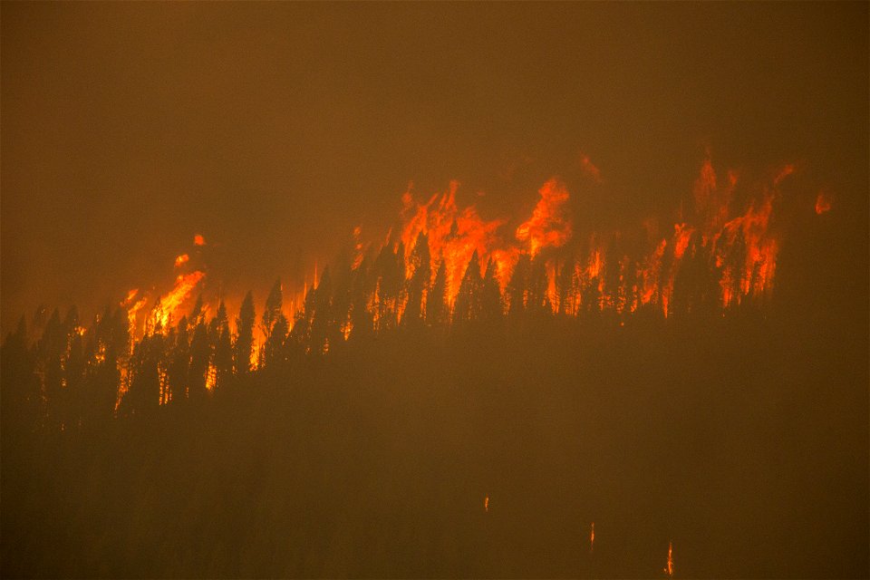 PioneerFire-Boise-July2016-017