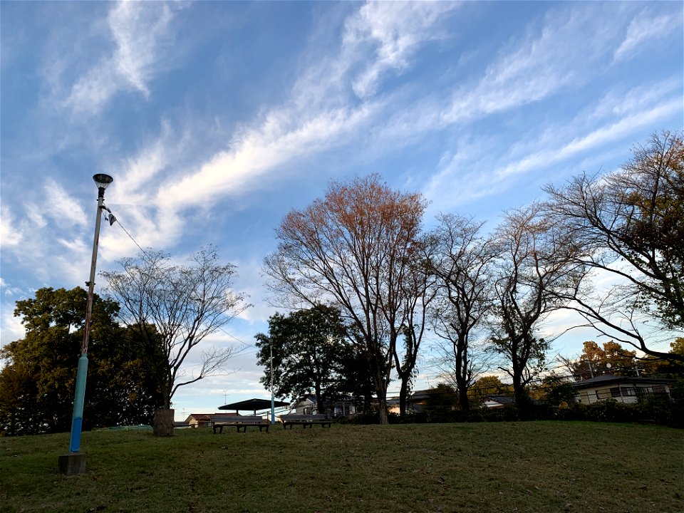 Koyamadaiiseki Park in Higashikurume-shi in November