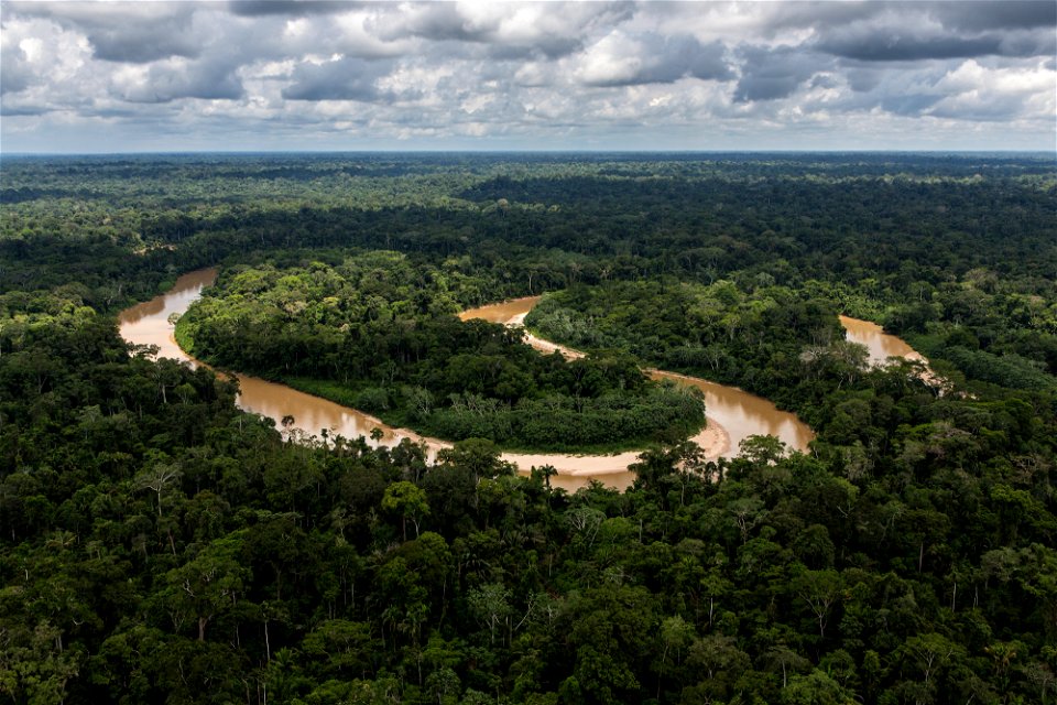 ConservationAmazonPeru-FS-001