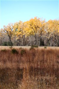 Fall on the Karl E. Mundt National Wildlife Refuge South Dakota photo