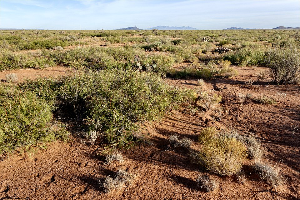 East side of Antelope Hill