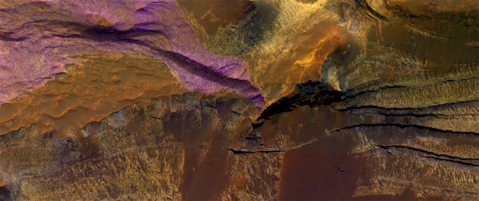 Sedimentary Bedrock Diversity in Terby Crater