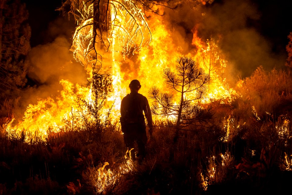 Ruby Mountain Hotshots photo