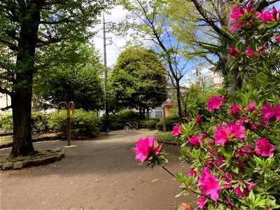 Yatocho Park photo