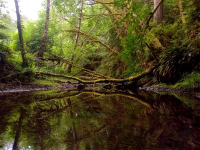 Headwaters Elk River photo