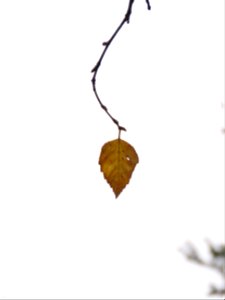20211026-FS-Superior-SAR-005