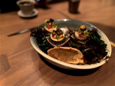 Dungeness Crab
