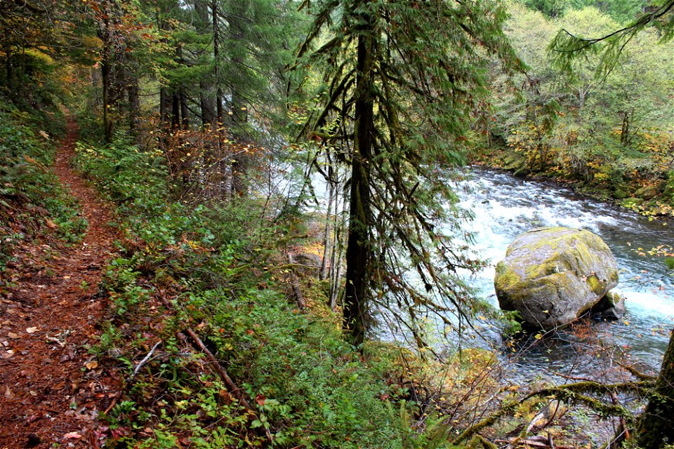img_0792_view-of-north-umpqua-trail-river-and-rockjpg_49364495646_o