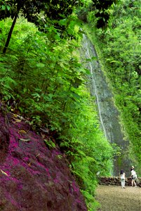 Long, thin waterfall and purple rock, Hawaii