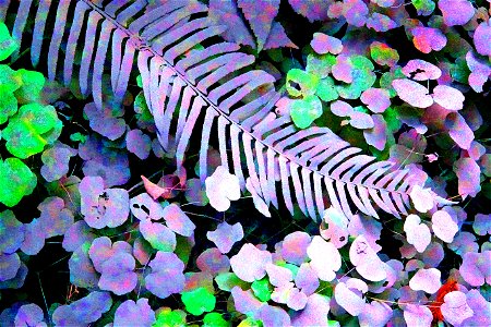 PHOTOSHOP WATERCOLOR STUDIES - Dust on roadside plants, del norte co, ca -10