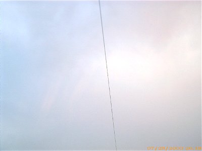 apus-caleavitan2003_0729_084140_17147471359_o