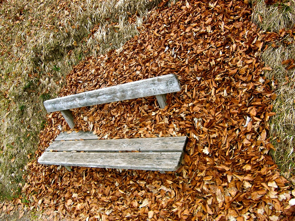 Bank leaves seasons