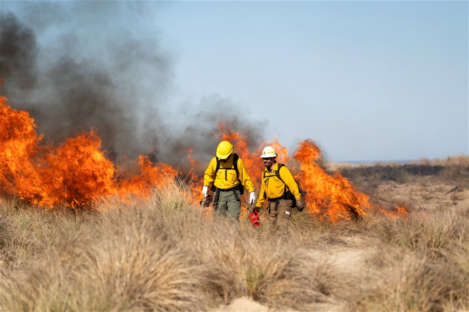 Siuslaw Oregon Dunes Prescribed Burn 2022