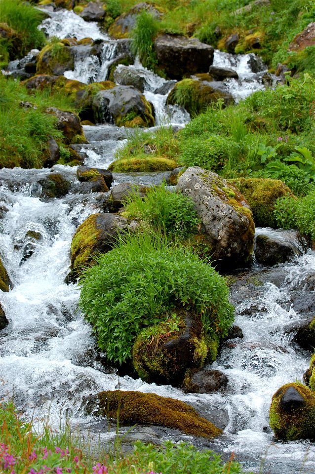 Izembek Wilderness photo