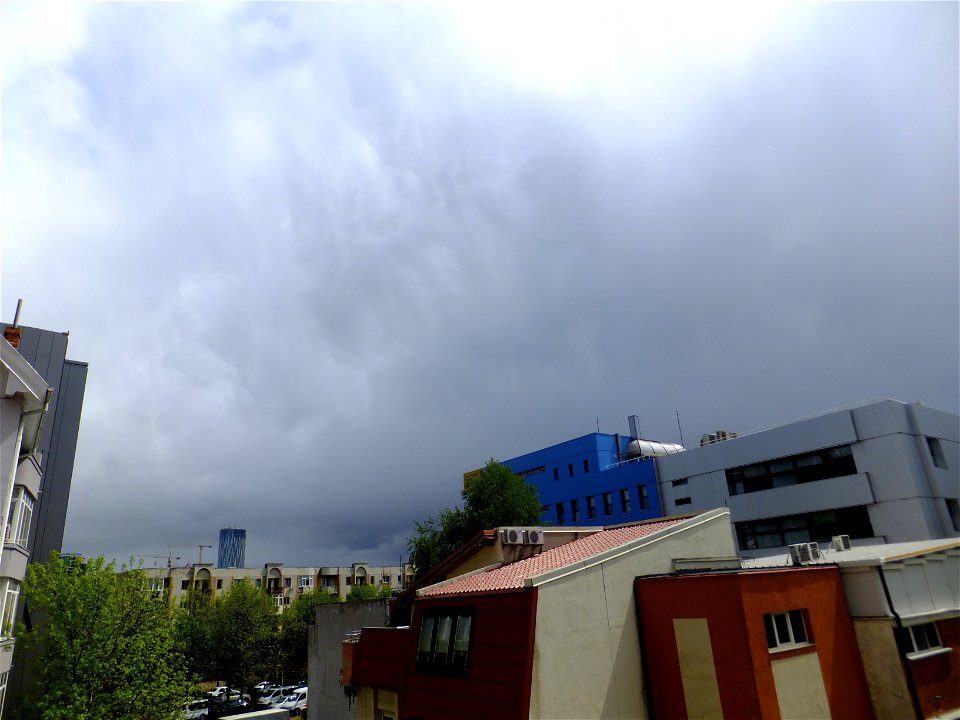 nori-sediu2015_0422_132354