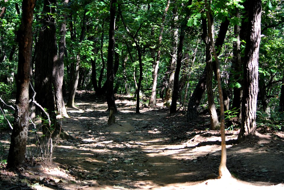 Teajosan Mountain Hiking