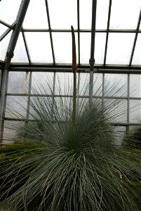 Hantaek Botanical Garden
