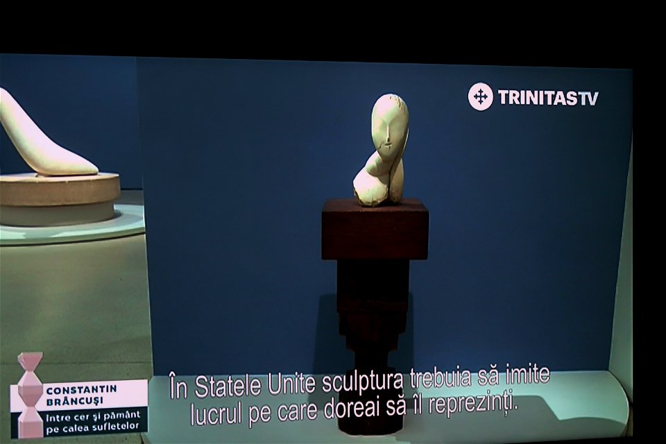 Brancusi_works2023_0218_184705(1)
