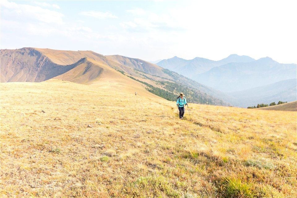 Shoshone National Forest, Sunlight Creek Trail: hiking into the alpine (2)