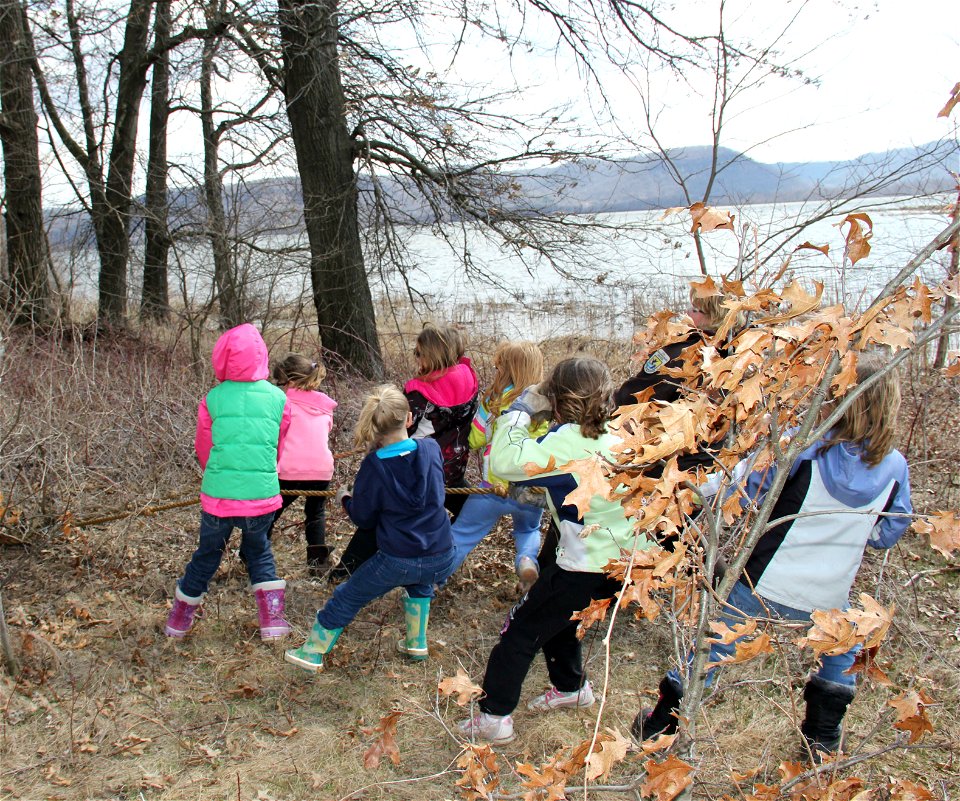 Girl Scouts Remove Invasives photo