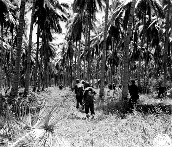 SC 271381 - Troops of the 3rd Bn., 163rd, 41st Div., start moving towards Zamboanga after being pinned down for half hour by Jap mortar and artillery fire. photo