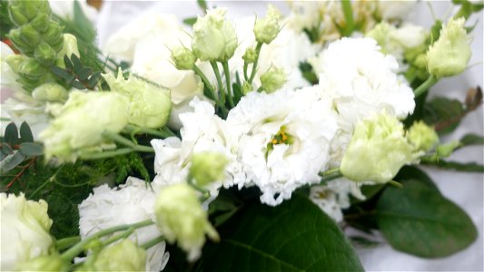 flori_flowers-wife-2023_0216_162052