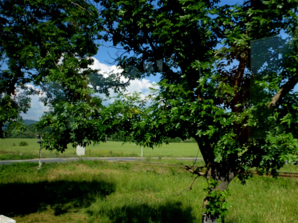 calea-ferata2015_0613_095601_18840354156_o
