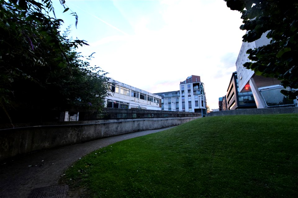 DSC_0765 (2)
