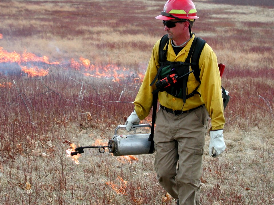 Big Meadows Prescribed Burn, 2007 photo