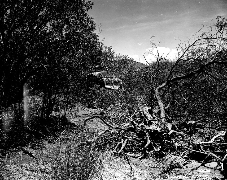 SC 151526 - Winch truck being used to clear the brush from the right of way for the pole line construction. Hawaii.