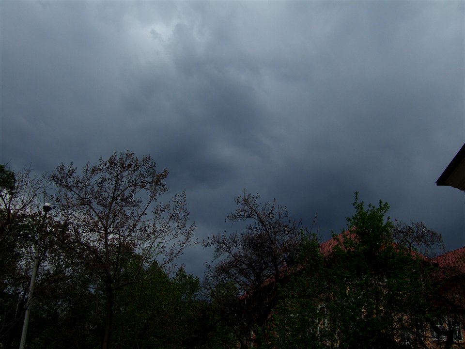 bisSfMaria2007_0415(018)