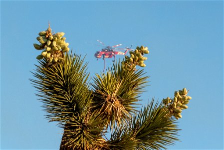 Air Operations for the Elk Fire photo