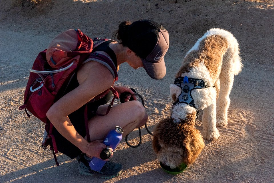 Visitor visiting with dog