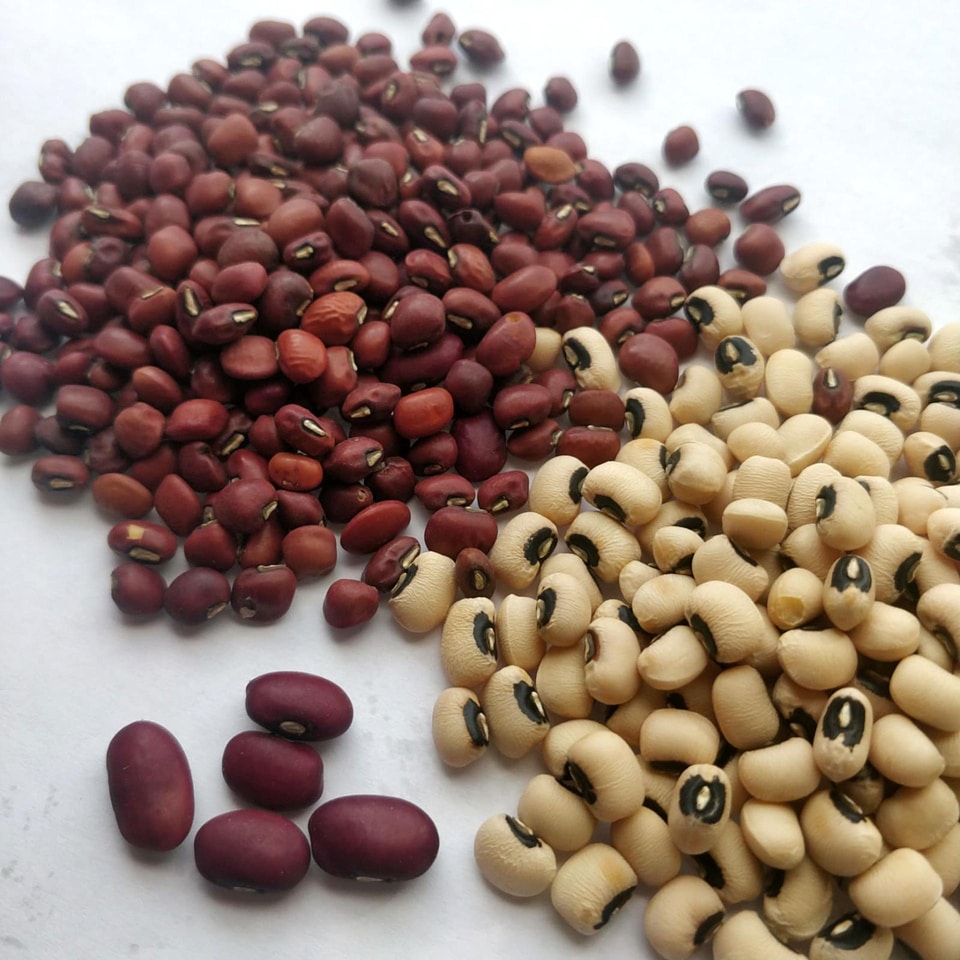 Beans food nutrition