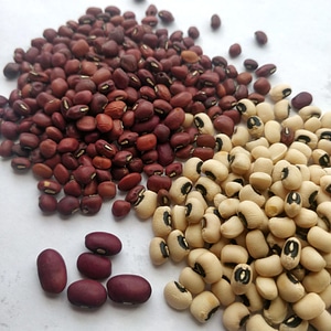 Beans food nutrition