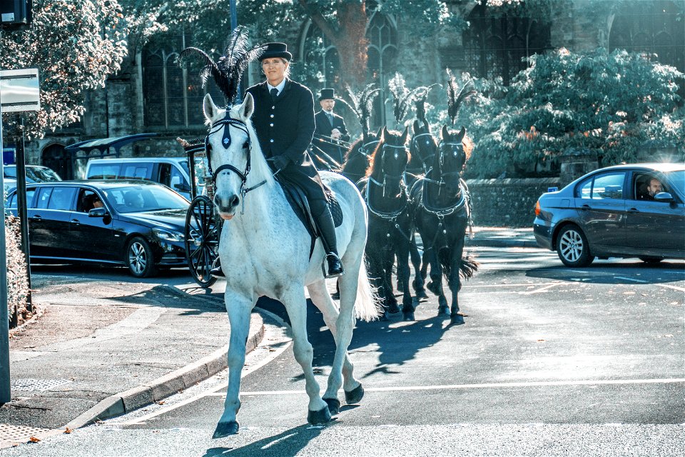 Funeral Horses Maidstone