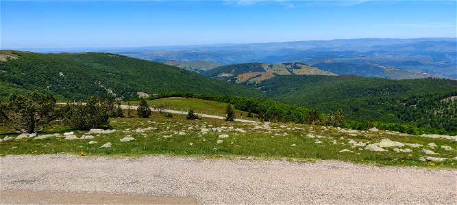 IMG_20220528_135112